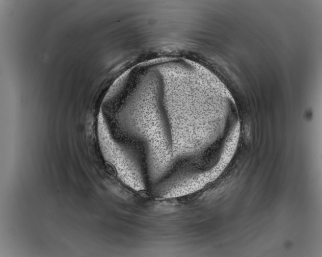X0000099480964200805301615