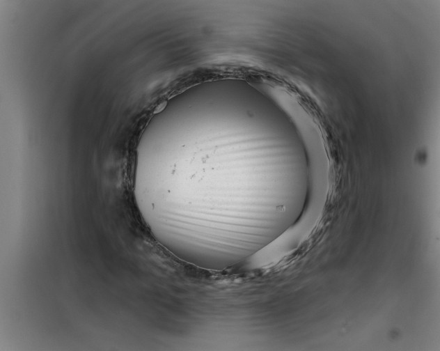 X0000099480965200805301615