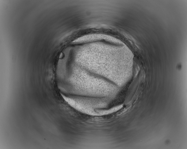 X0000099480966200805301615