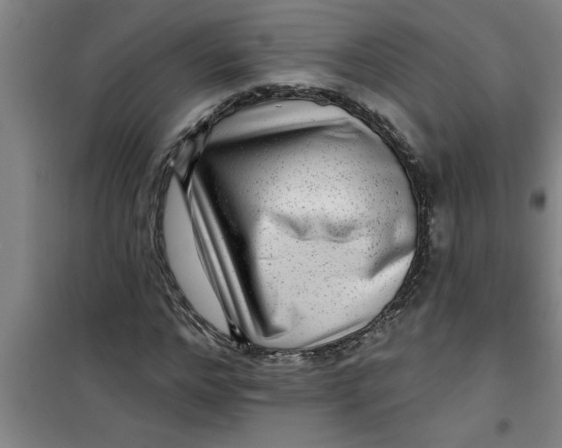 X0000099480968200805301615