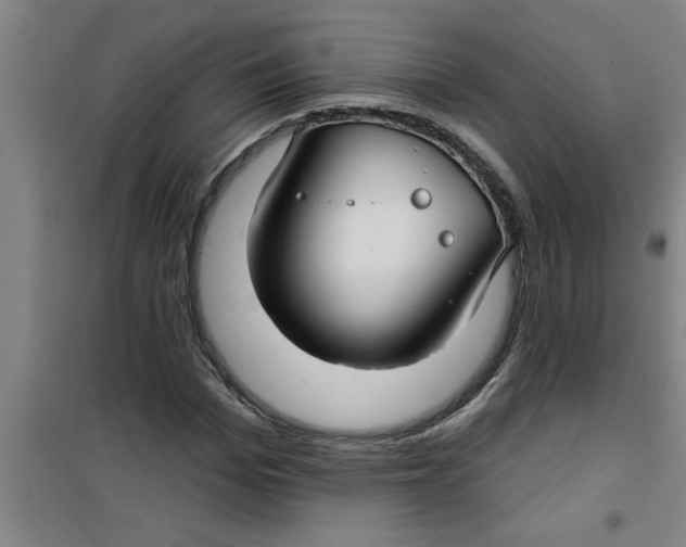 X0000099480969200805301615