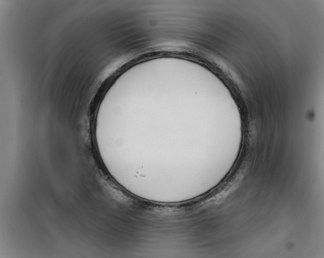 X0000099480970200805301615