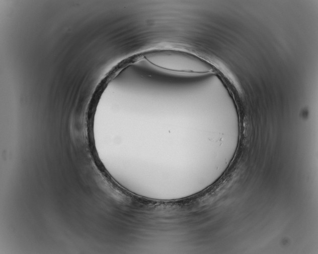 X0000099480972200805301615