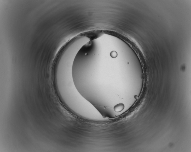 X0000099480973200805301615
