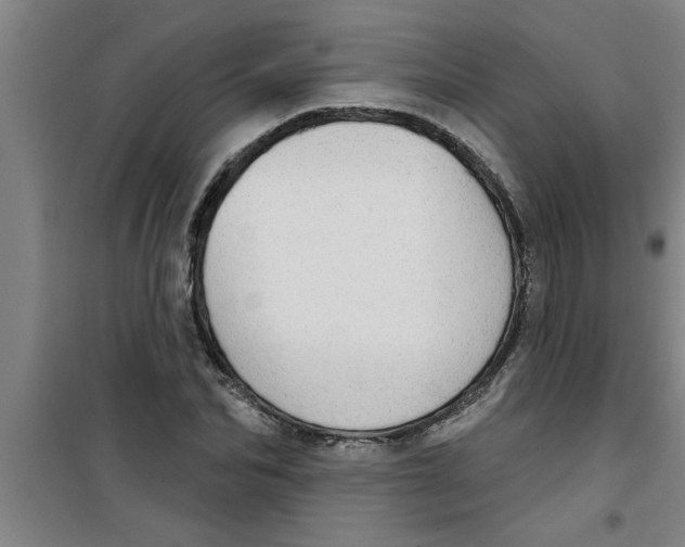 X0000099480974200805301615