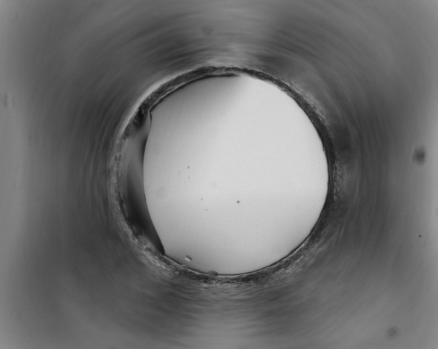 X0000099480976200805301615