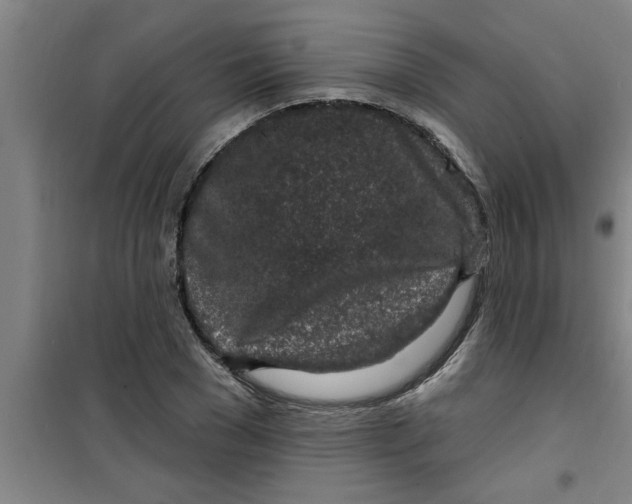 X0000099480977200805301615