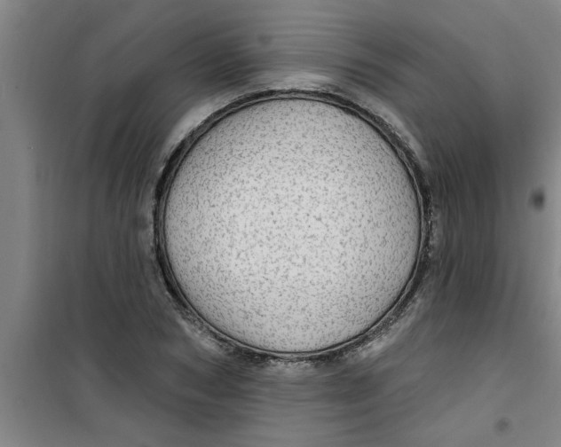 X0000099480978200805301615