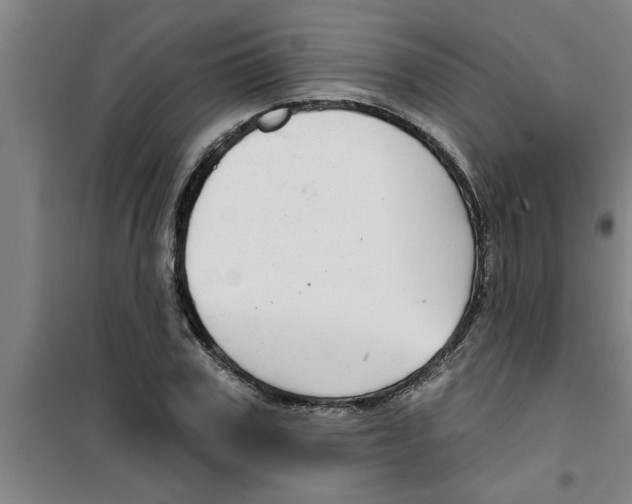 X0000099480979200805301615