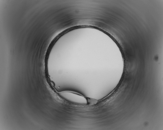 X0000099480980200805301615
