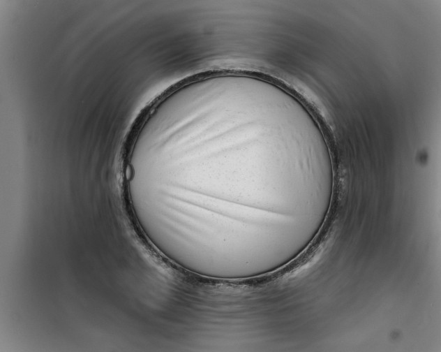 X0000099480981200805301615