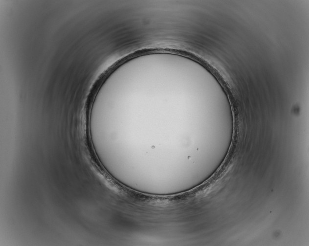 X0000099480982200805301615