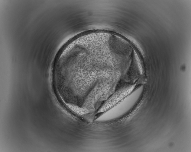X0000099480983200805301615