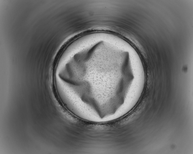 X0000099480984200805301615