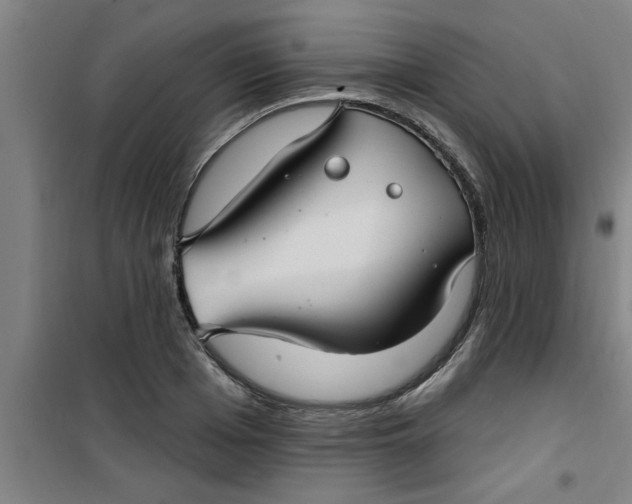 X0000099480985200805301615