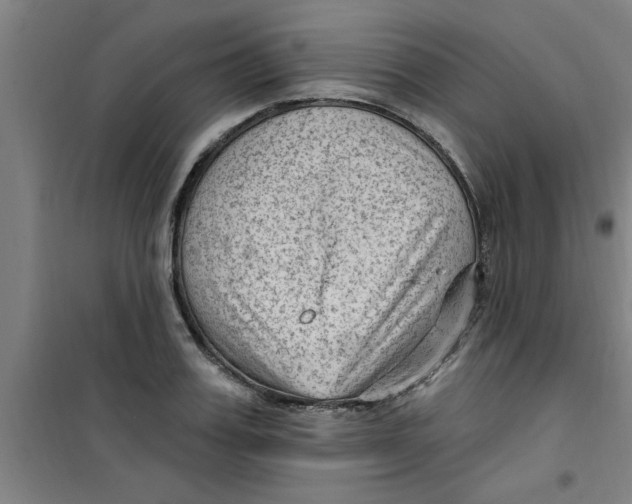 X0000099480987200805301615