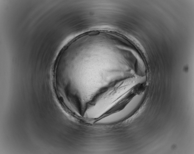 X0000099480989200805301615
