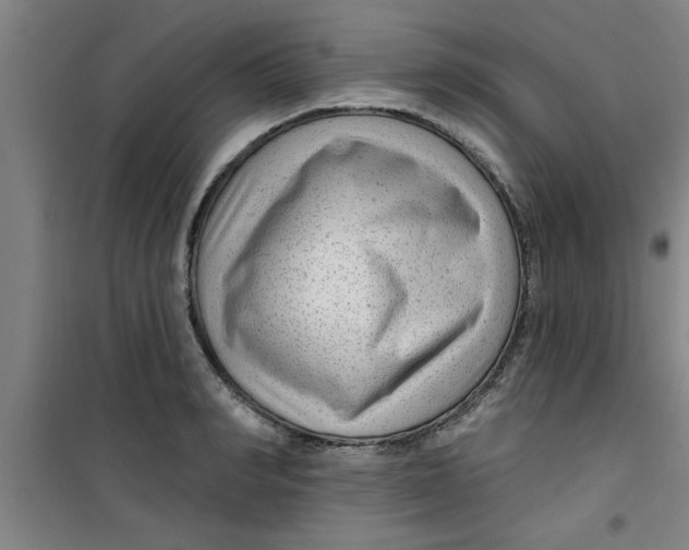 X0000099480990200805301615