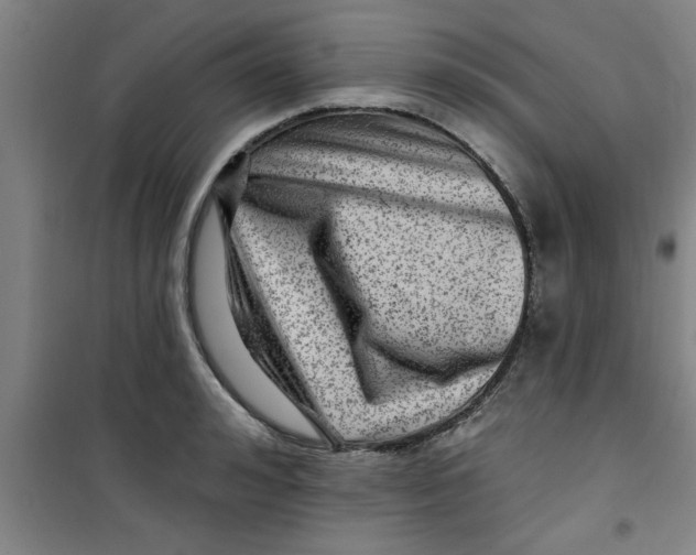 X0000099480992200805301615