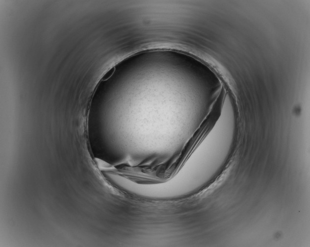 X0000099480993200805301615