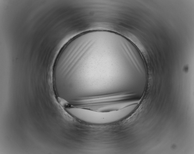 X0000099480996200805301615