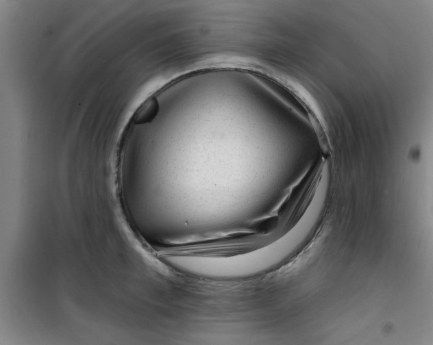 X0000099480997200805301615