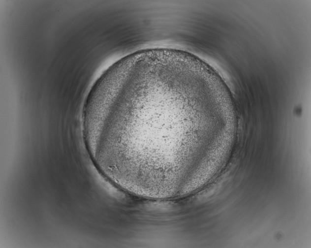 X0000099480998200805301615
