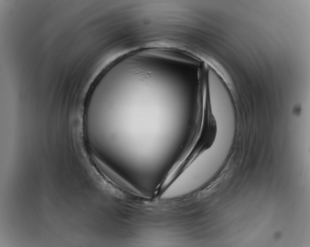 X0000099481000200805301615