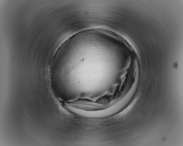 X0000099481001200805301615