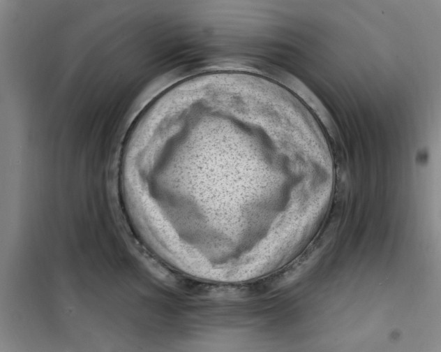 X0000099481002200805301615