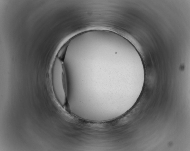 X0000099481004200805301615