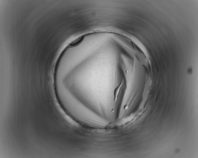 X0000099481005200805301615