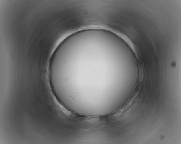 X0000099481006200805301615