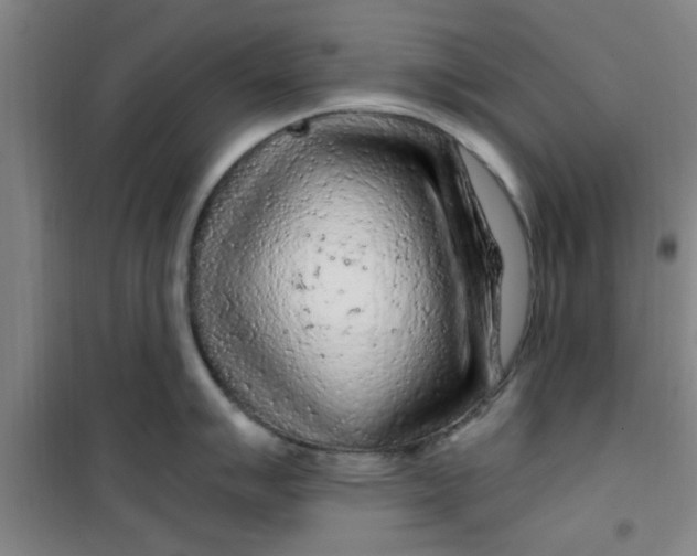 X0000099481007200805301615