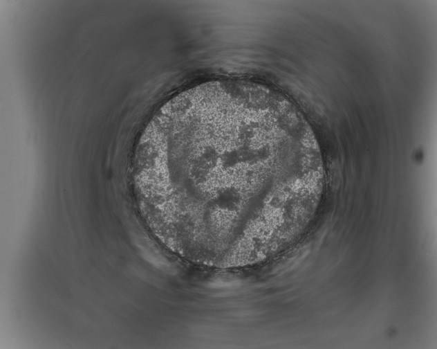X0000099481009200805301614