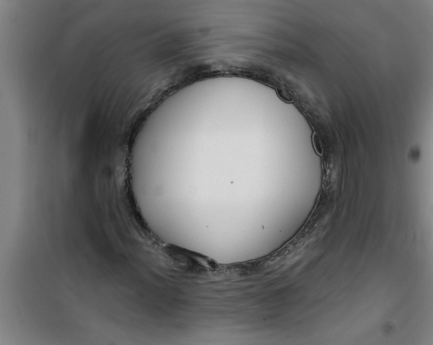 X0000099481012200805301614
