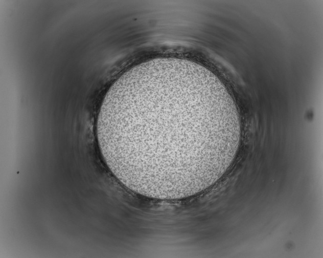 X0000099481013200805301614