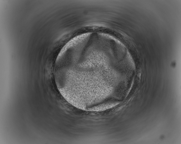 X0000099481014200805301614