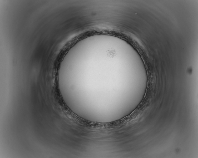 X0000099481016200805301614
