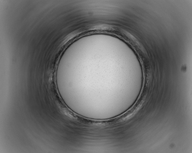 X0000099481017200805301614