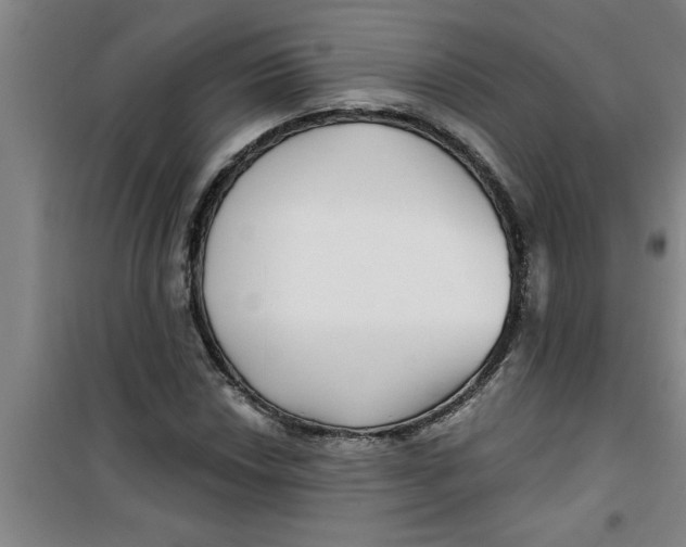 X0000099481018200805301614