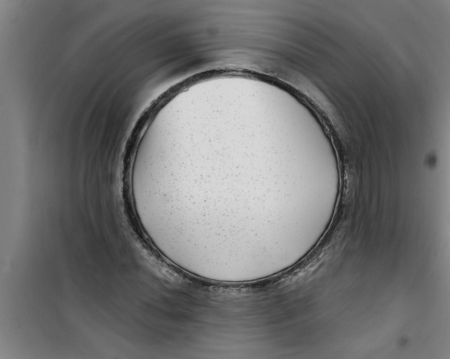 X0000099481020200805301614