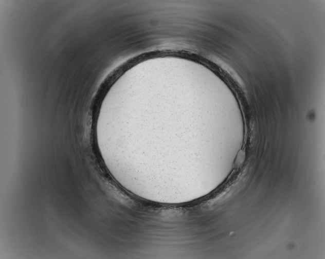 X0000099481021200805301614