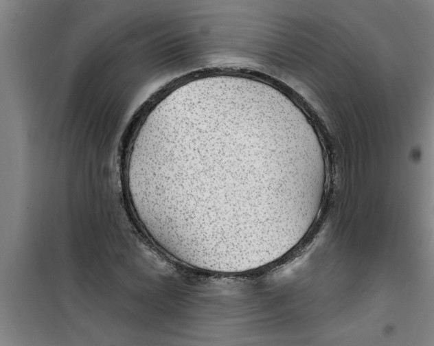 X0000099481022200805301614