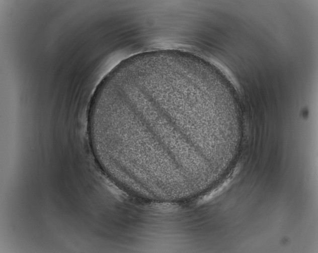 X0000099481023200805301614