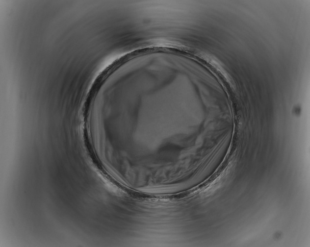X0000099481024200805301614