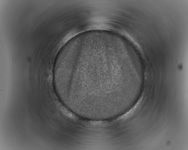 X0000099481025200805301614