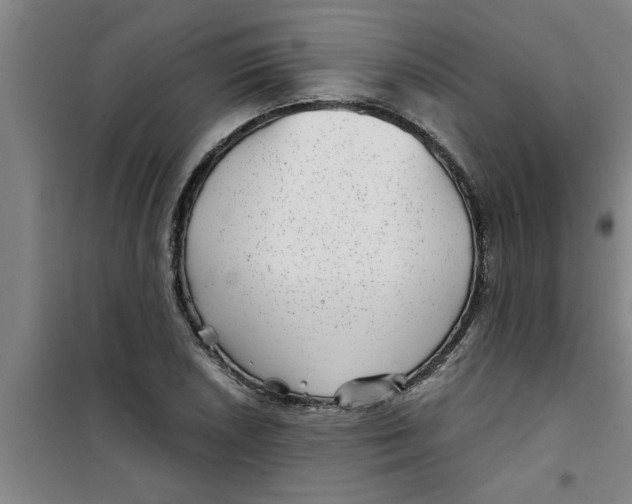 X0000099481026200805301614