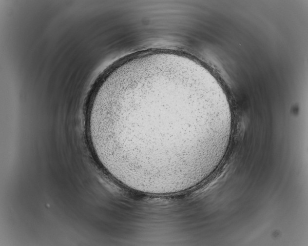 X0000099481027200805301614