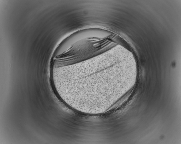 X0000099481028200805301614